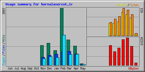 Usage summary for bornalasercut.ir